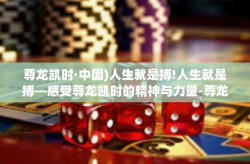 尊龙凯时·中国)人生就是搏!人生就是搏—感受尊龙凯时的精神与力量-尊龙凯时·中国)人生就是搏!