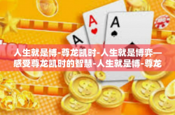 人生就是博-尊龙凯时-人生就是博弈—感受尊龙凯时的智慧-人生就是博-尊龙凯时