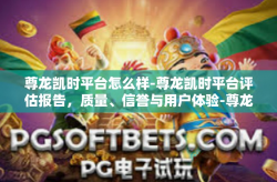 尊龙凯时平台怎么样-尊龙凯时平台评估报告，质量、信誉与用户体验-尊龙凯时平台怎么样