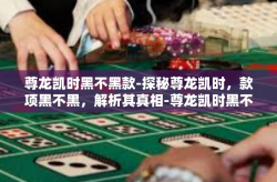 尊龙凯时黑不黑款-探秘尊龙凯时，款项黑不黑，解析其真相-尊龙凯时黑不黑款