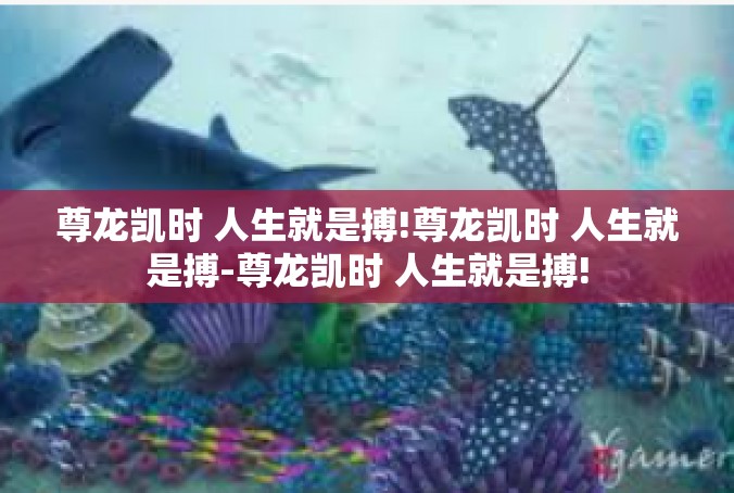 尊龙凯时 人生就是搏!尊龙凯时 人生就是搏-尊龙凯时 人生就是搏!